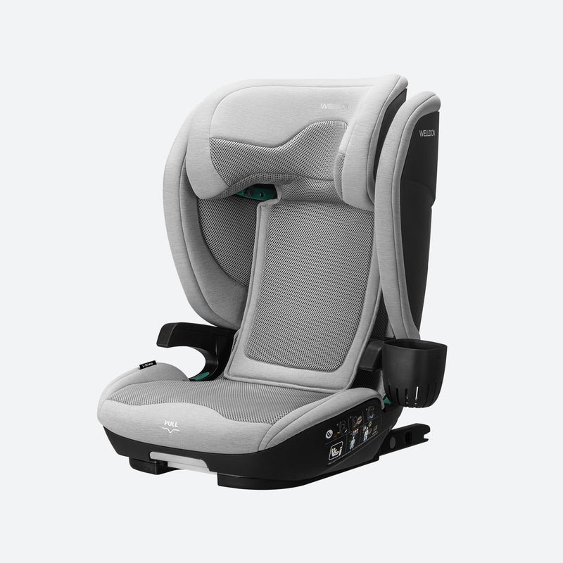 Welldon Cocoon Travel 2 Booster Seat
