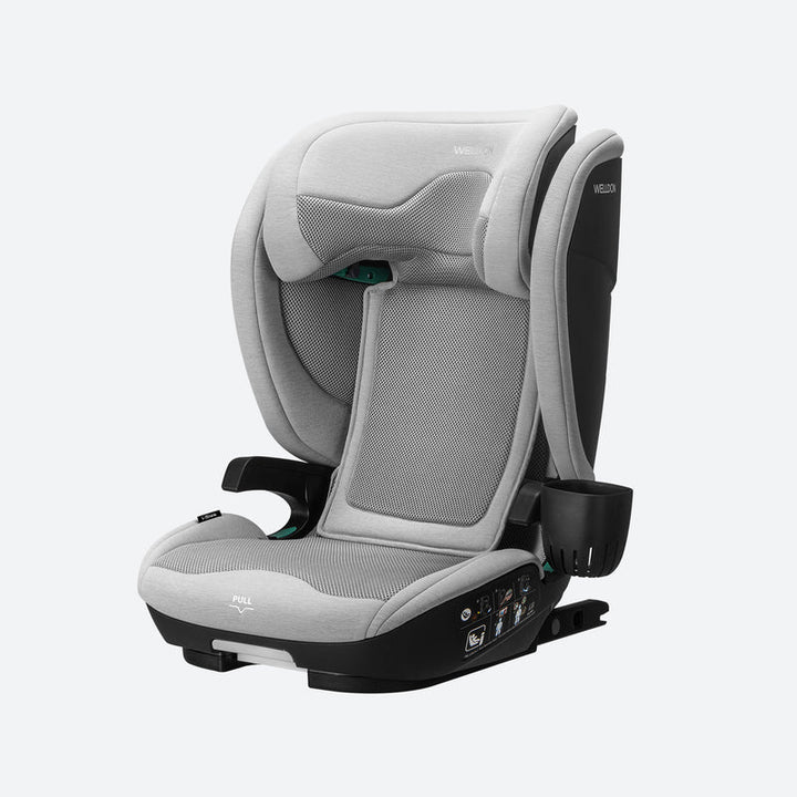 Welldon Cocoon Travel 2 Booster Seat