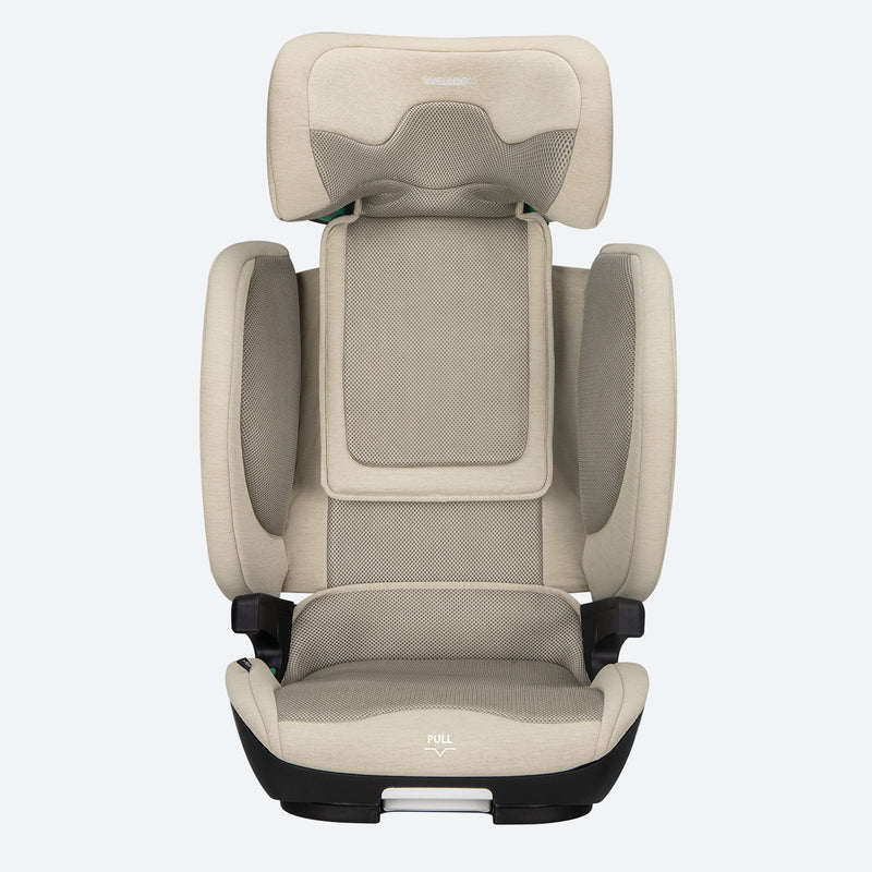 Welldon Cocoon Travel 2 Booster Seat