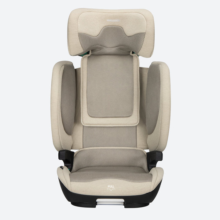 Welldon Cocoon Travel 2 Booster Seat